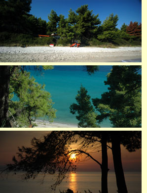 zu den innenansichten