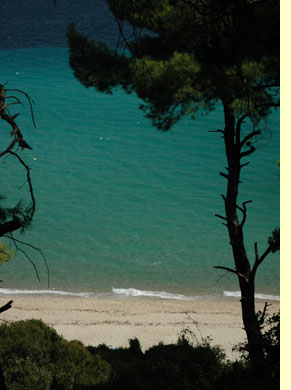 zu den innenansichten